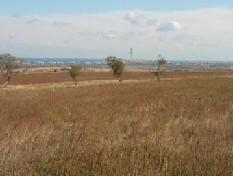 AGRICULTURAL  PLOT OF LAND Sunny Beach